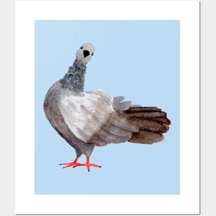 Curious Pigeon in Watercolor Posters and Art